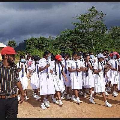 309660784 132888012823422 1528144082637854348 N