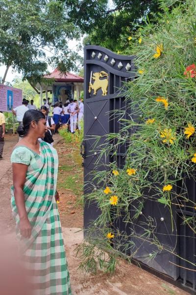 310429262 132886016156955 118477306615132691 N