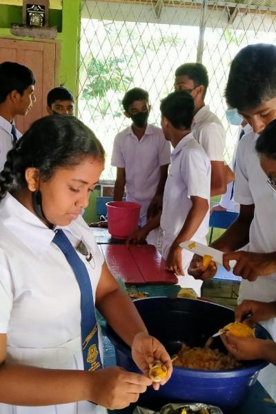 300481282 167669339175961 4309228435463745817 N