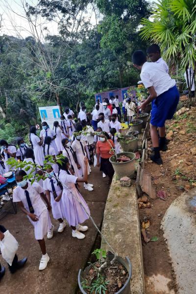 300841270 167668805842681 2655853703301743120 N