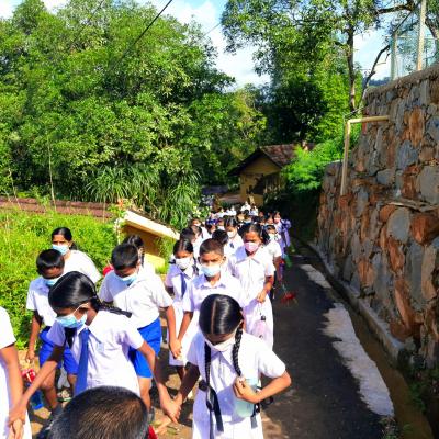 288234850 150225900920305 1998186615417696408 N